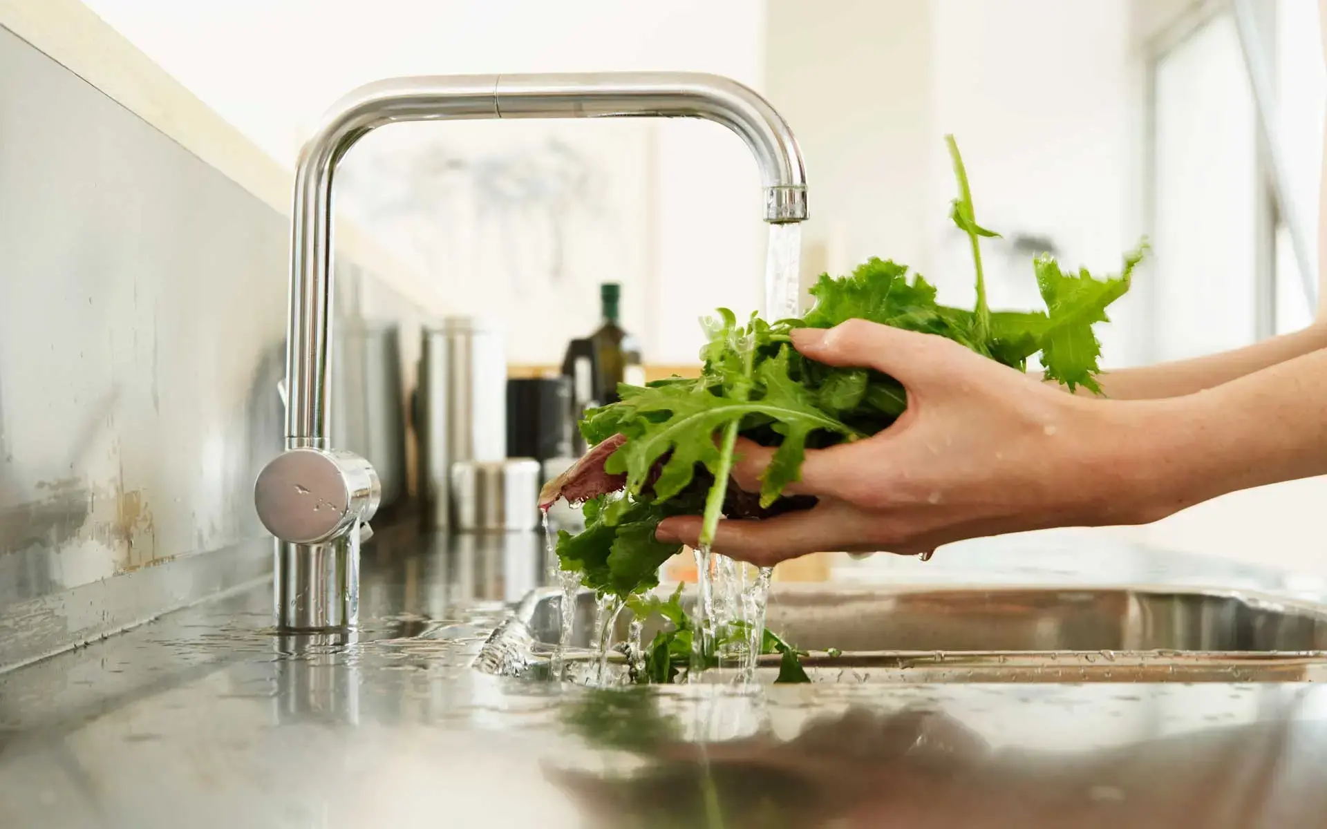 Ernährungs- und Hygiene Update 