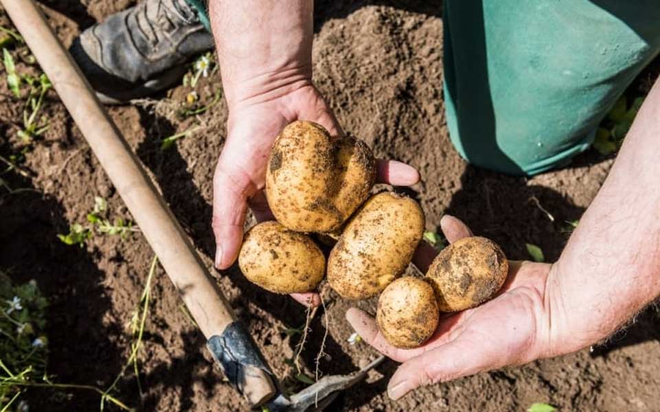 marketingassets - Bio-Quote