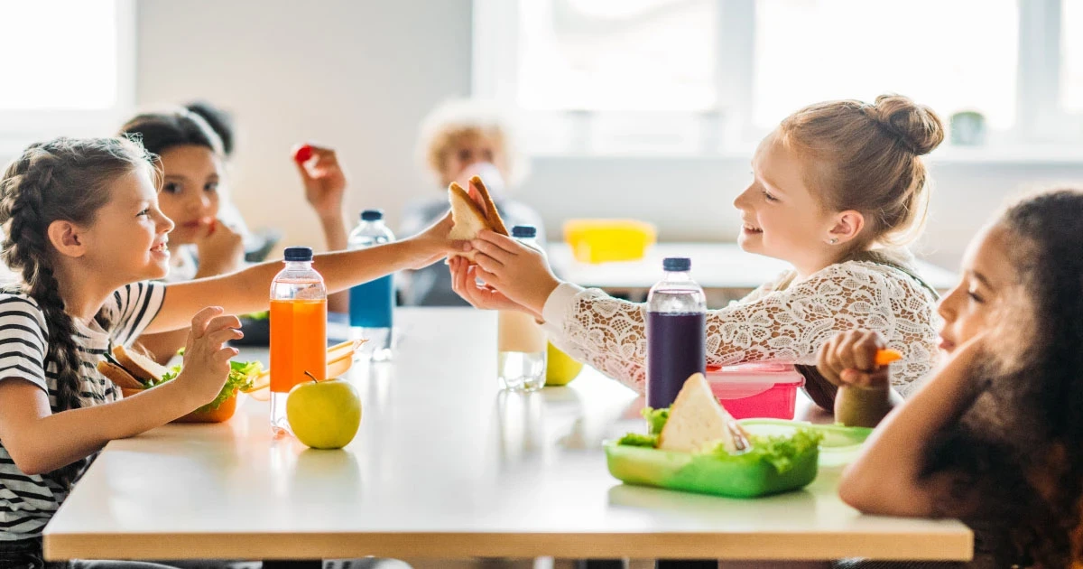 seminare - Bedarfsgerechte Schul- und Kitaverpflegung