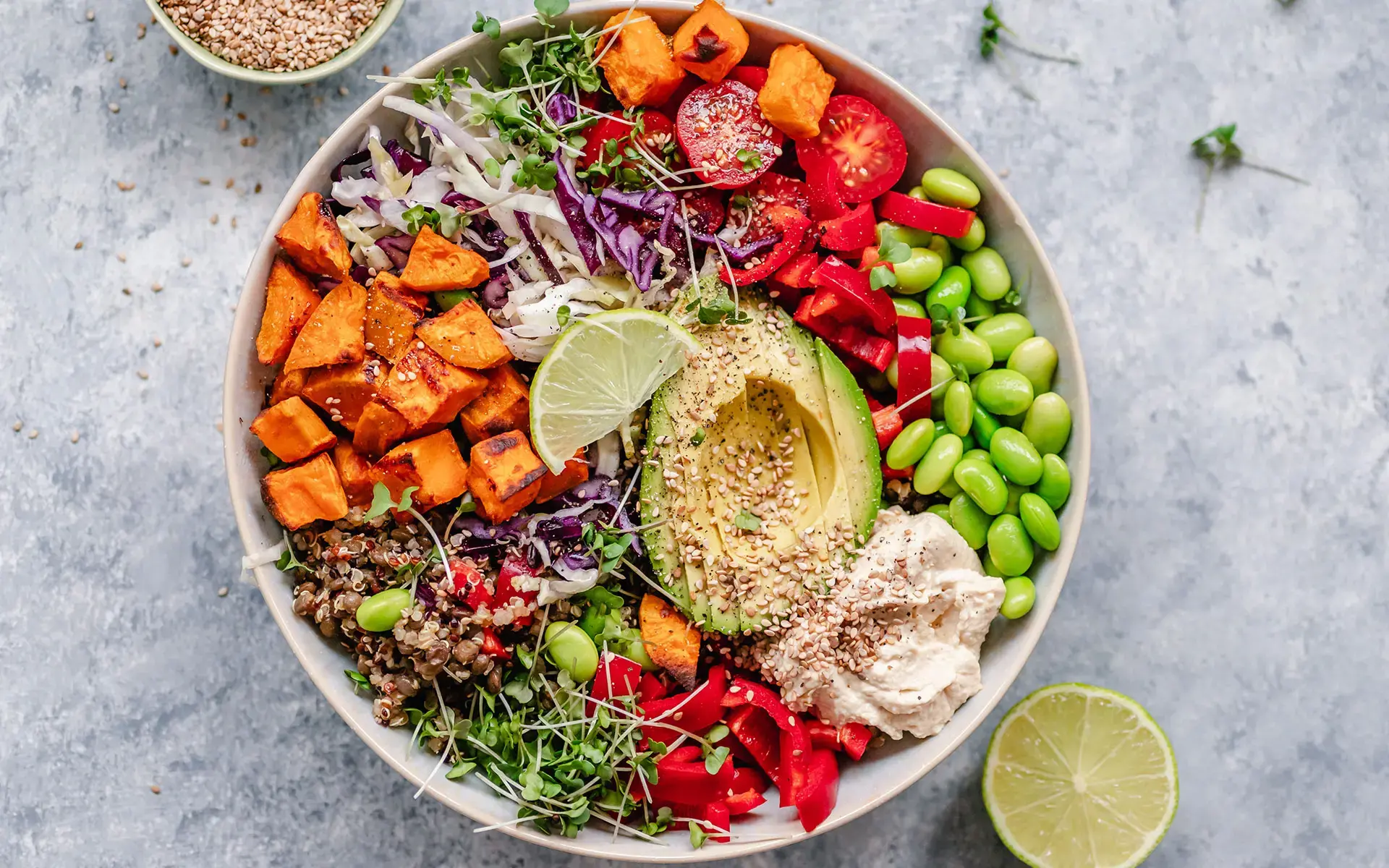 seminare - Basis Vegan – Transgourmet URSPRUNG für die Gemeinschaftsverpflegung