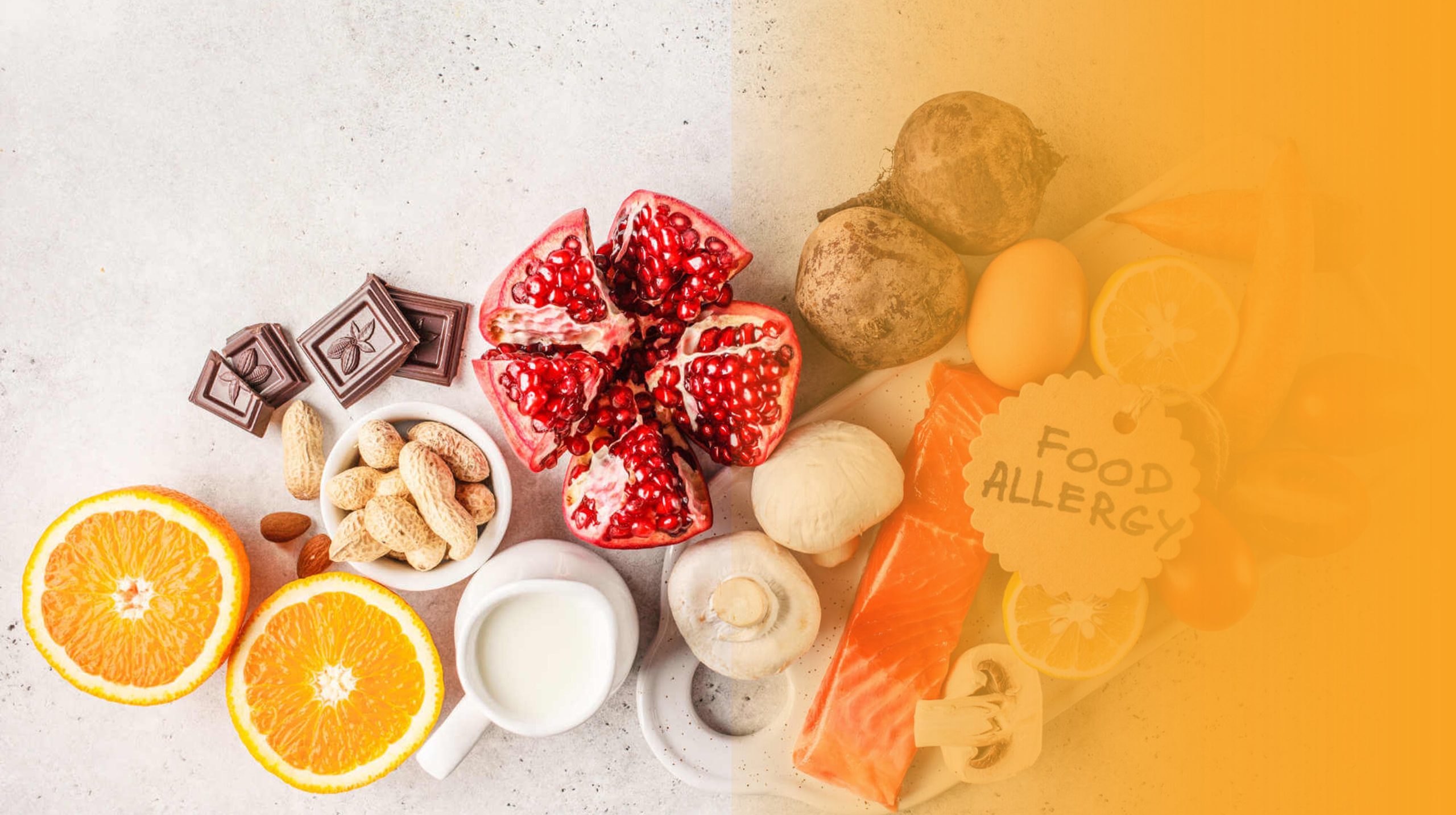 Digitale Allergenkennzeichnung leicht gemacht: Allergo