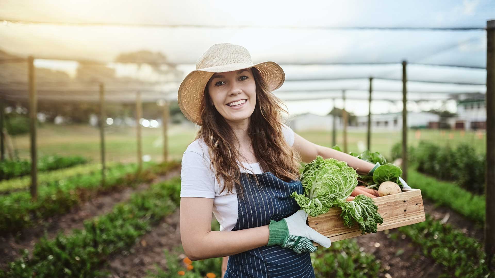 Klimapositive Ernährung